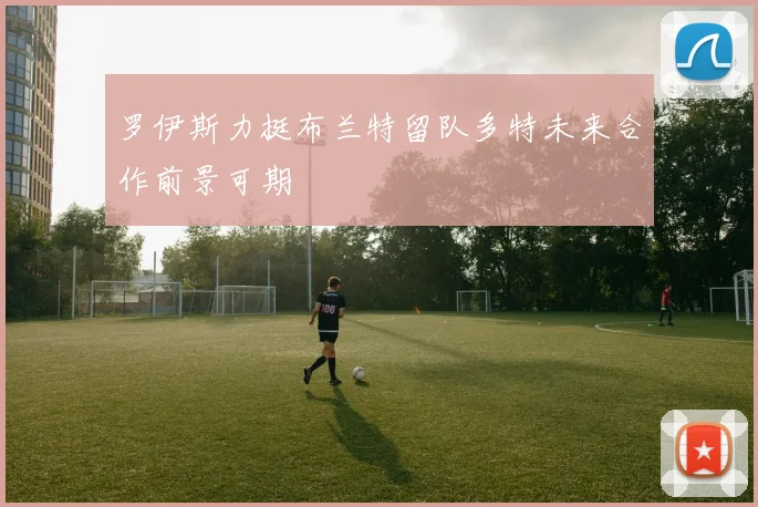 罗伊斯力挺布兰特留队多特未来合作前景可期