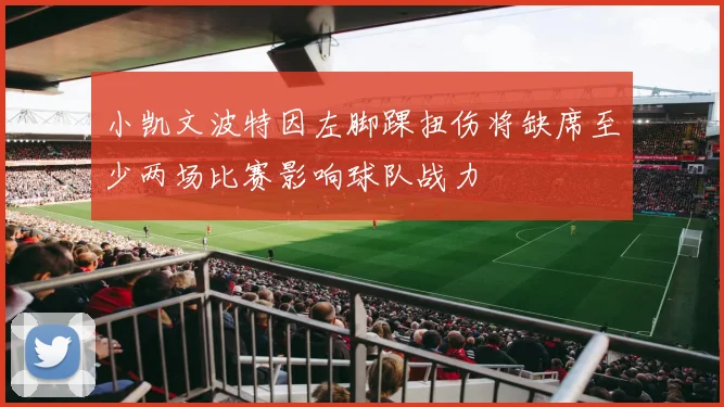 小凯文波特因左脚踝扭伤将缺席至少两场比赛影响球队战力