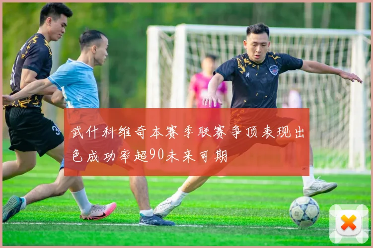 武什科维奇本赛季联赛争顶表现出色成功率超90未来可期