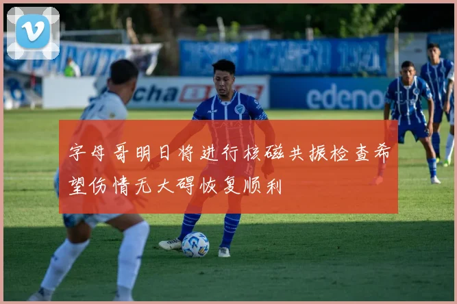 字母哥明日将进行核磁共振检查希望伤情无大碍恢复顺利