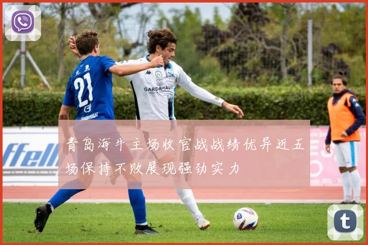 青岛海牛主场收官战战绩优异近五场保持不败展现强劲实力